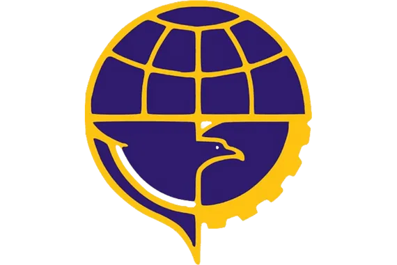 Directorate General of Civil Aviation Logo